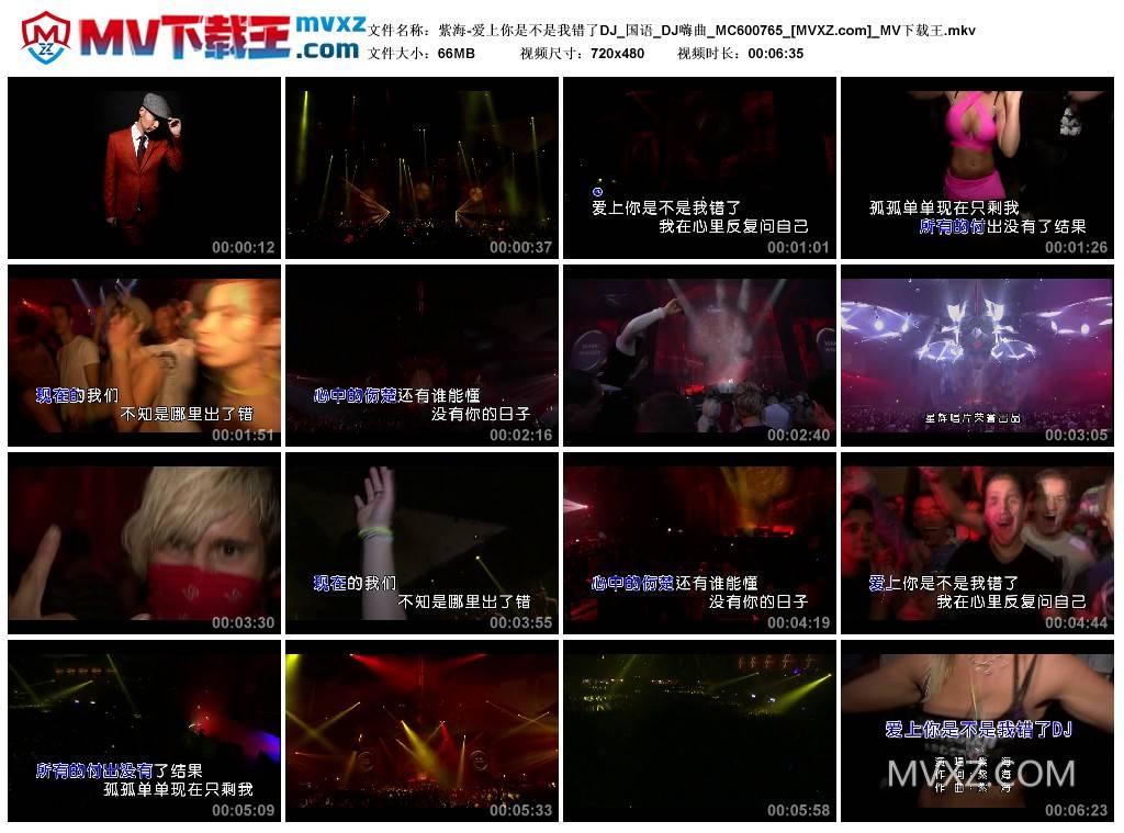 紫海-爱上你是不是我错了DJ_国语_DJ嗨曲_MC600765